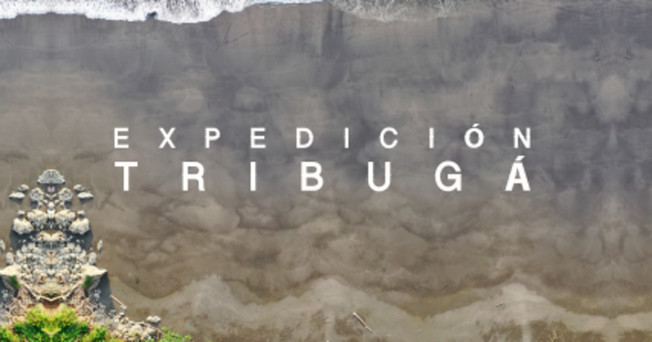 Desktop n11a0btnt8bwbydwrcgw