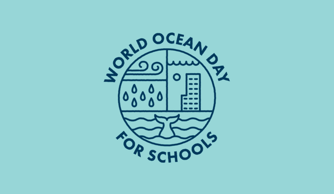 Desktop social media card v2