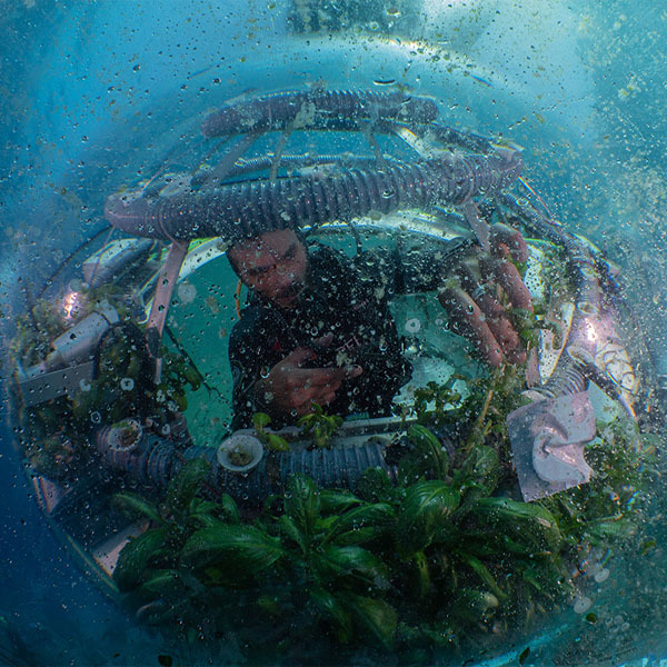 Desktop un wod 2020 600