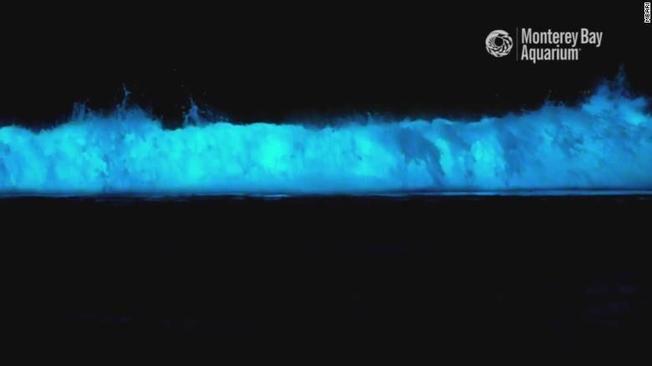 Desktop 5f43b69076554.image