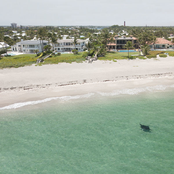 Desktop mmf florida mantas 600