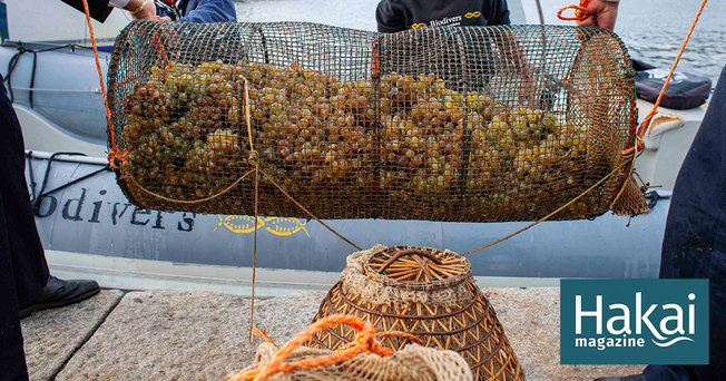 Desktop facebook underwater wine