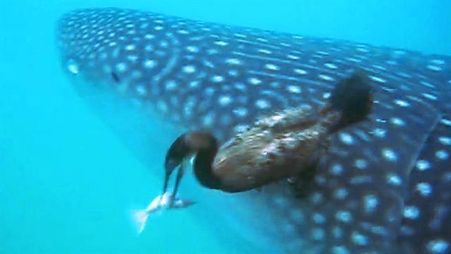 Desktop smpost 1518542109945