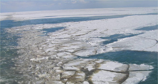 Desktop 860 main lake erie ice algae