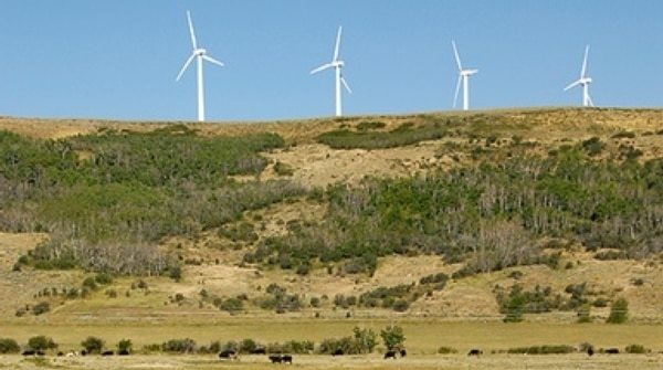 Desktop 800ebb07 fd37 460b acf7835dd1671255 agenda