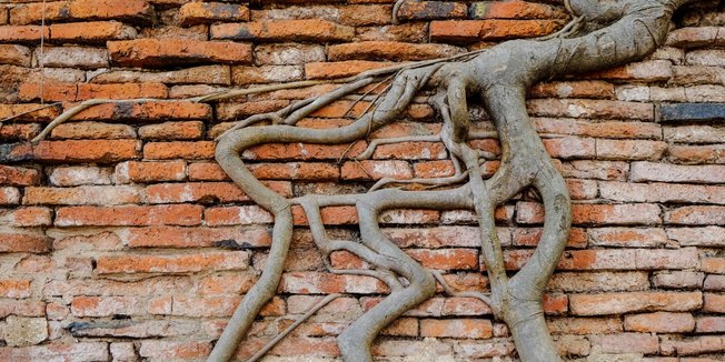 Desktop gi 524540896 googibga 2x1