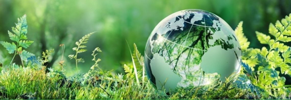 Show 5601fd80 4f6a 40d6 8fdc c1ea738027a4 4 5005 c