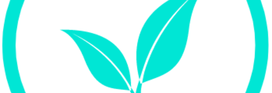 Show cash flow strategy session logo