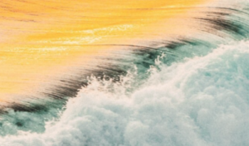 Influex store screen shot 2020 12 23 at 4.00.00 pm