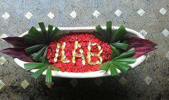 Influex store bg ilab